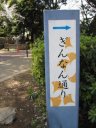 谷中霊園　ぎんなん通り